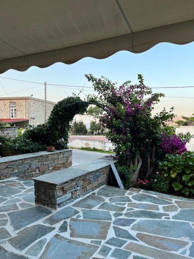 Giasemi Apartments Κάρυστος Εξωτερικό φωτογραφία
