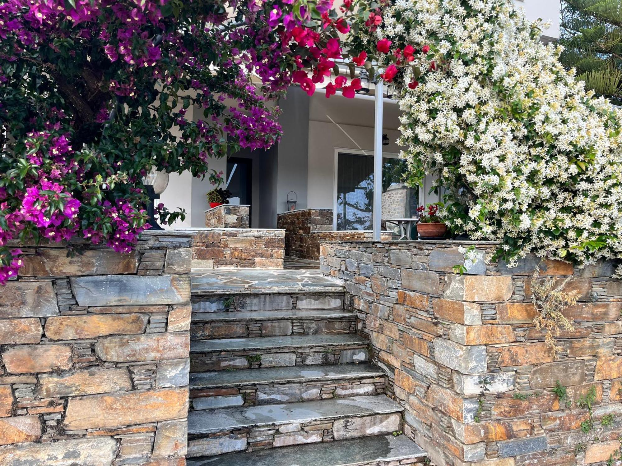 Giasemi Apartments Κάρυστος Εξωτερικό φωτογραφία